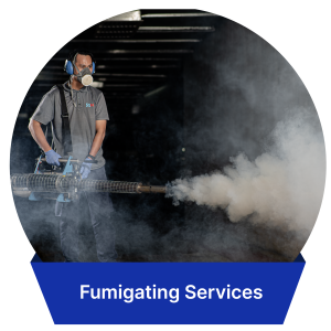 Fumigating-09